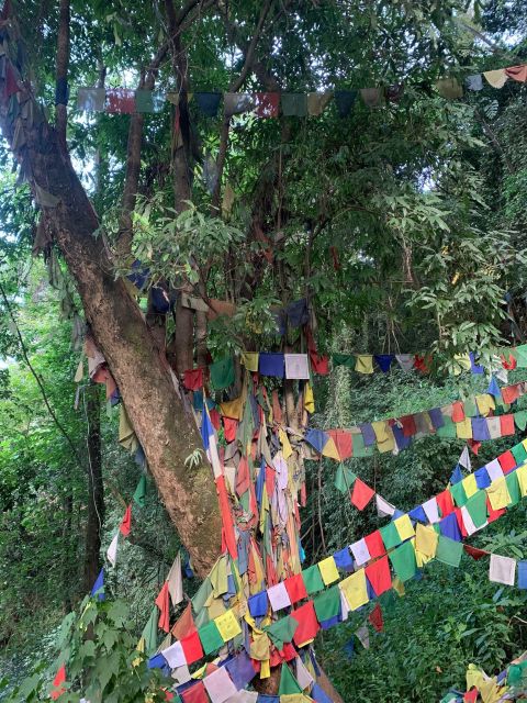 Healing Day tour - Shaman Healing - Price and Value for an $80 One-Day Session