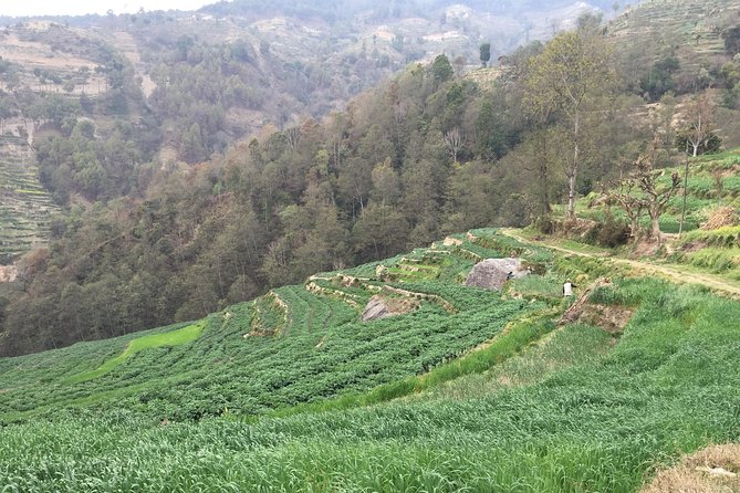 Hiking & city tour in Kathmandu with community Volunteering - Nala Gumba and the Dhagpo Sheydrub Ling Monastery day trip