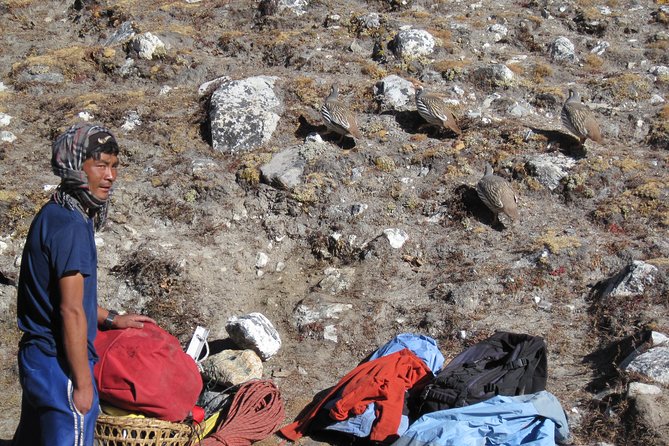 Island Peak Climbing ( 6,189M ) - Back down to Chhukung Ri: the smart pivot before Island Peak