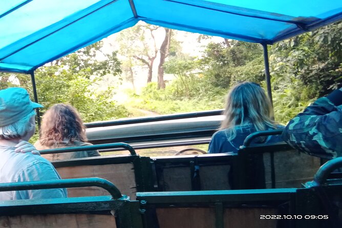Jeep safari (4-5 hrs. Sharing) inside Chitwan National Park. - Sauraha Jeep Safari Schedule: a half-day plan that works