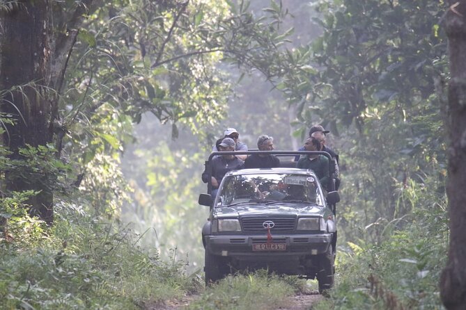 Jungle Towernight Stay: 4-Day Tour in Chitwan National Park - Guides and group size: up to 12 changes everything