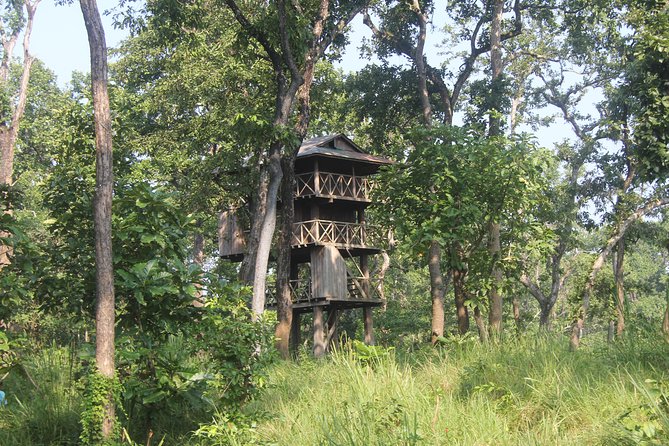 Jungle Towernight Stay In Chitwan National Park ,nepal-2 Nights 3 Days Package - Key things to know before you go
