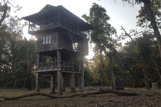 Jungle Towernight Stay In Chitwan National Park ,nepal-2 Nights 3 Days Package - Timing, group size, and comfort details that affect your day