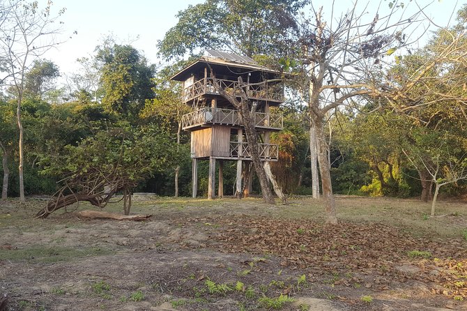 Jungle Towernight Stay In Chitwan National Park ,nepal-2 Nights 3 Days Package - Chitwan National Park outings: jeep, canoe, and jungle walk