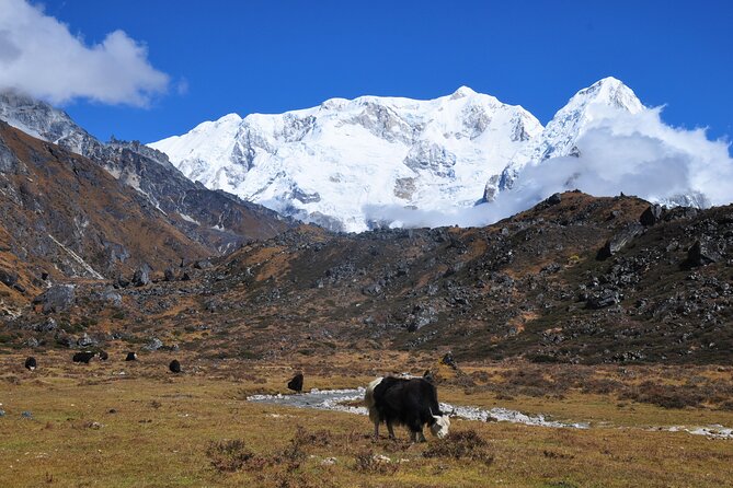 Kanchenjunga Circuit Trek - Starting In Kathmandu, Then Up to Suketar at 2,420m