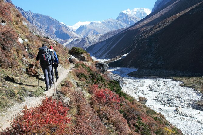 Kanchenjunga Circuit Trek - Day 10: Selela Pass Around 4,290m, Big Views but Cold Reality