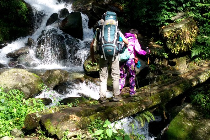 Kanchenjunga South Base Camp Trek - 13 Days - From Kathmandu to Ilam, then into Taplejung: the trip’s long setup