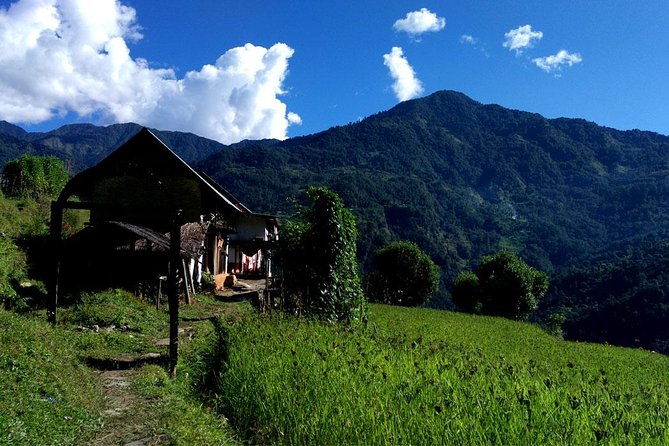 Kanchenjunga South Base Camp Trek - 13 Days - Days 6 to 8: Spanish moss, rhododendrons, Tseram, and Ramche’s teahouse-tent decision