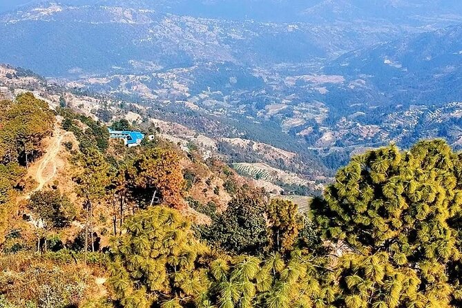 Kathmandu: 1 Day Hiking to Nagarjun Hill - Back to Thamel: turning the day’s walking into a relaxed finish