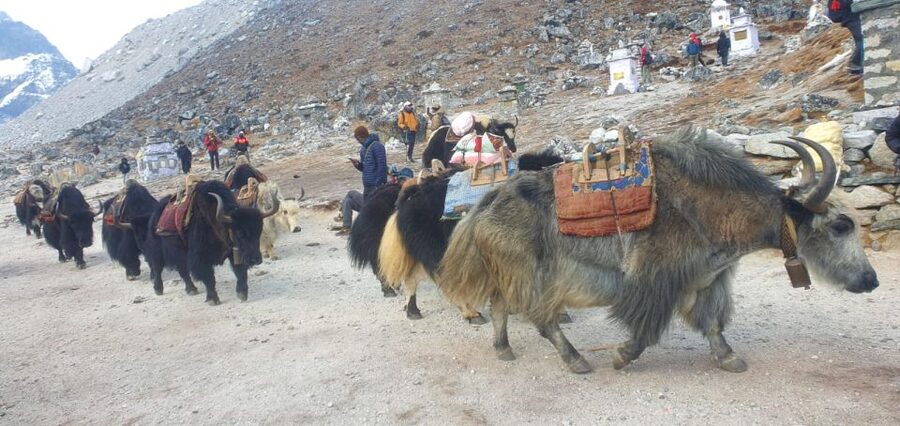Kathmandu: 14-Day Everest Base Camp with Kala Patthar Trek - Lobuche and Gorak Shep: the approach to Everest Base Camp