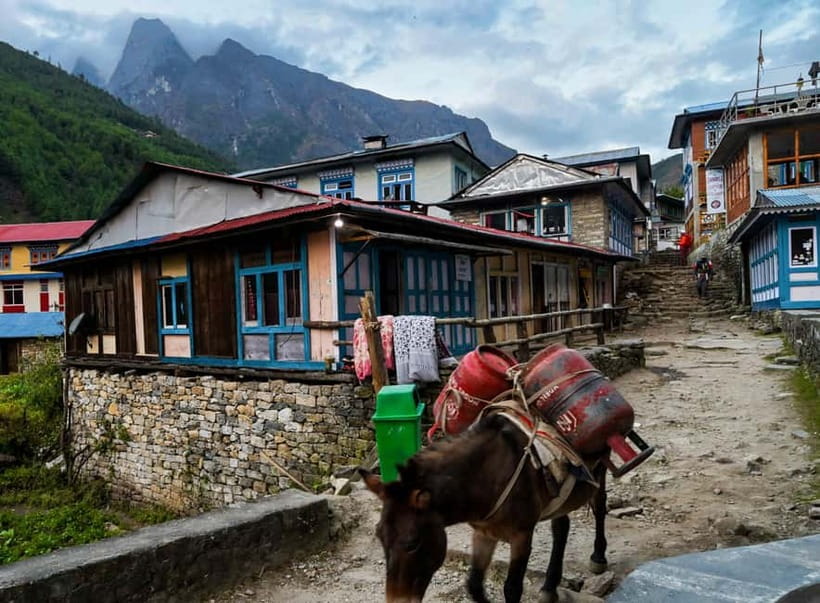 Kathmandu: 15-Day Everest Base Camp Trek with Guide - Key points to know before you go