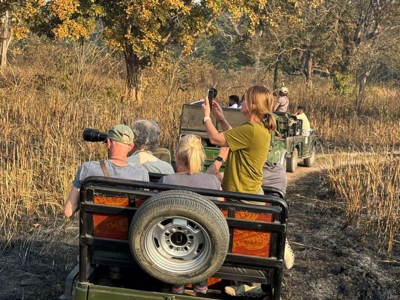 Kathmandu: 3-Day Chitwan Safari Tour with Hotel Transfers - Your Chitwan lodge base: where you reset after the jungle