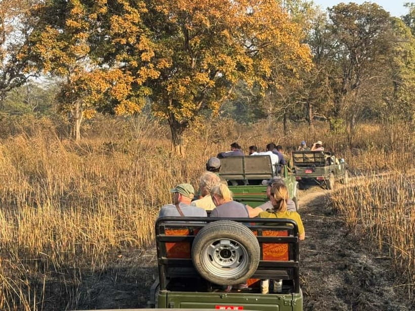 Kathmandu: 3-Day Chitwan Safari Tour with Hotel Transfers - Day 1 in Chitwan: check-in, park time, sunset on the Rapti, Tharu culture