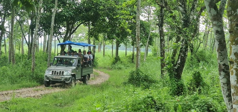 Kathmandu: 3-Day Chitwan Safari Tour with Hotel Transfers - Tharu village and the dance program: why the culture stop matters