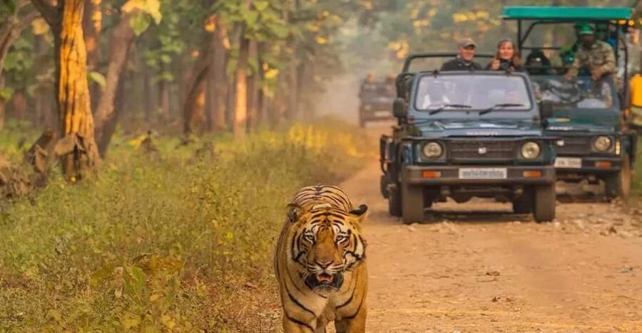 Kathmandu: 4-Day Private Chitwan National Park Safari Tour - Key things that make this tour worth your time