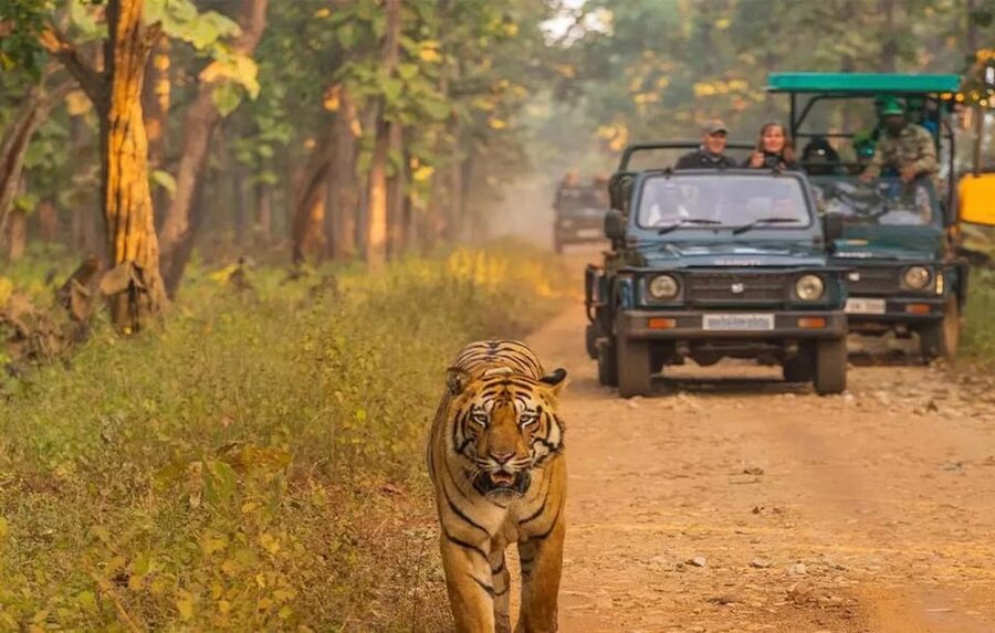 Kathmandu: 4-Day Private Chitwan National Park Safari Tour - Kathmandu to Chitwan, a safari that mixes wildlife and real rhythm