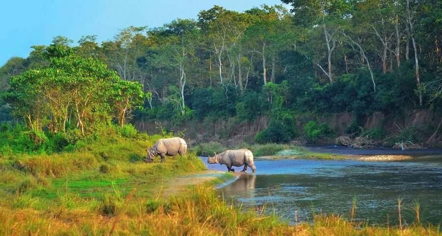 Kathmandu: 4-Day Private Chitwan National Park Safari Tour - Day 2: Jeep safari focus, then Rapti River canoeing and elephant breeding center context
