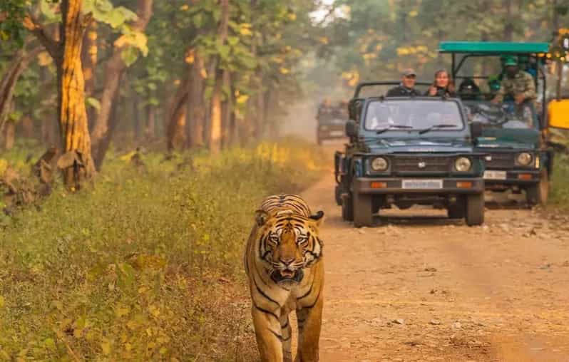 Kathmandu: 4-Day Private Chitwan National Park Safari Tour - Day 3: Choose your jungle style on the way to 20,000 Lake