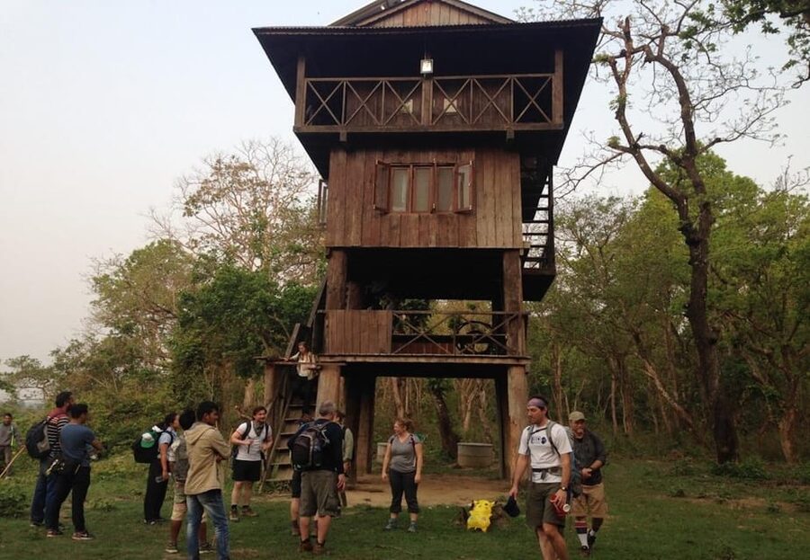 Kathmandu: 4-Day Private Chitwan National Park Safari Tour - Wildlife expectations in Chitwan, how to get the most from every sighting moment