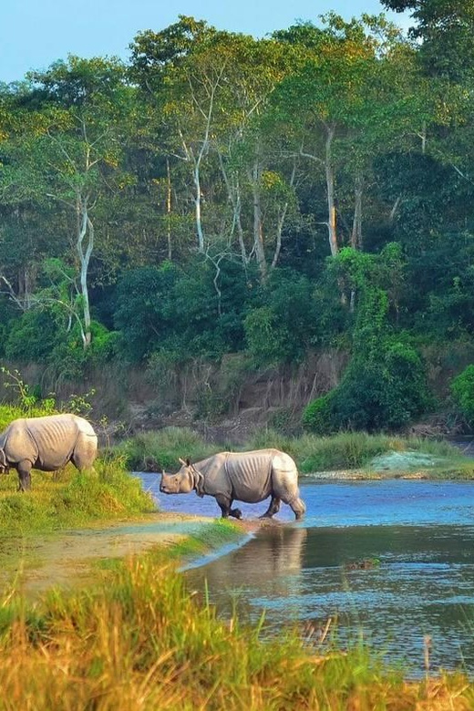 Kathmandu: 4-Day Private Chitwan National Park Safari Tour - Staying comfortable in the jungle, what you can expect from the accommodation