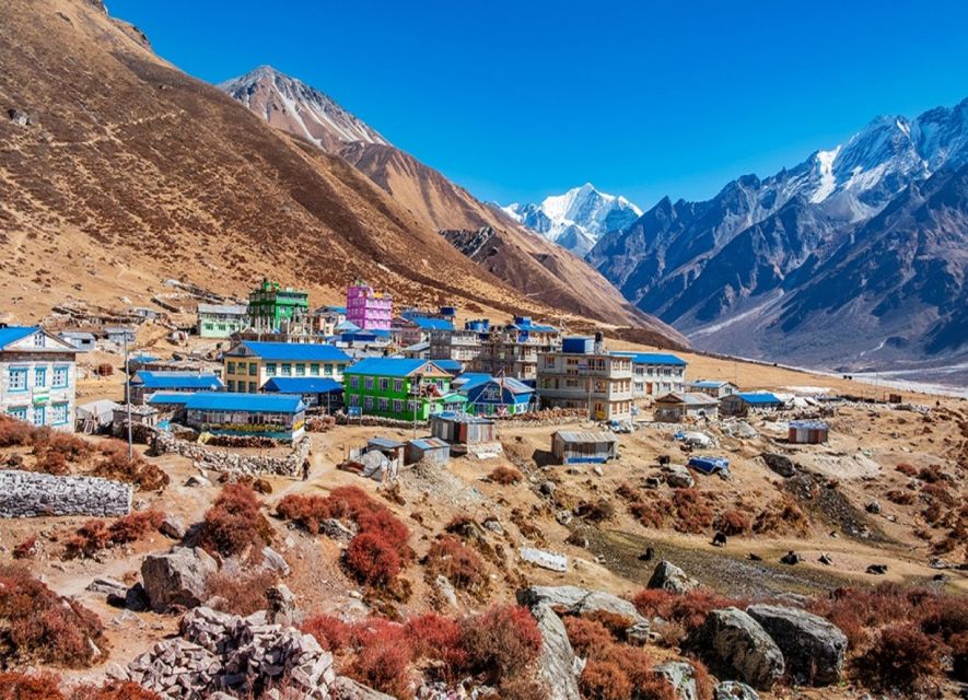 Kathmandu: 6-Day Limitless Langtang Trek - Day 6: Syabrubesi to Kathmandu, a soft landing
