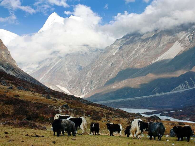 Kathmandu: 6 Days Langtang Valley Trek with Kyanjin Ri - Day 4: Kyanjin Gompa to Thangsyap (3,200m), Optional Kyanjin Ri (4,770m) for Sunrise Views