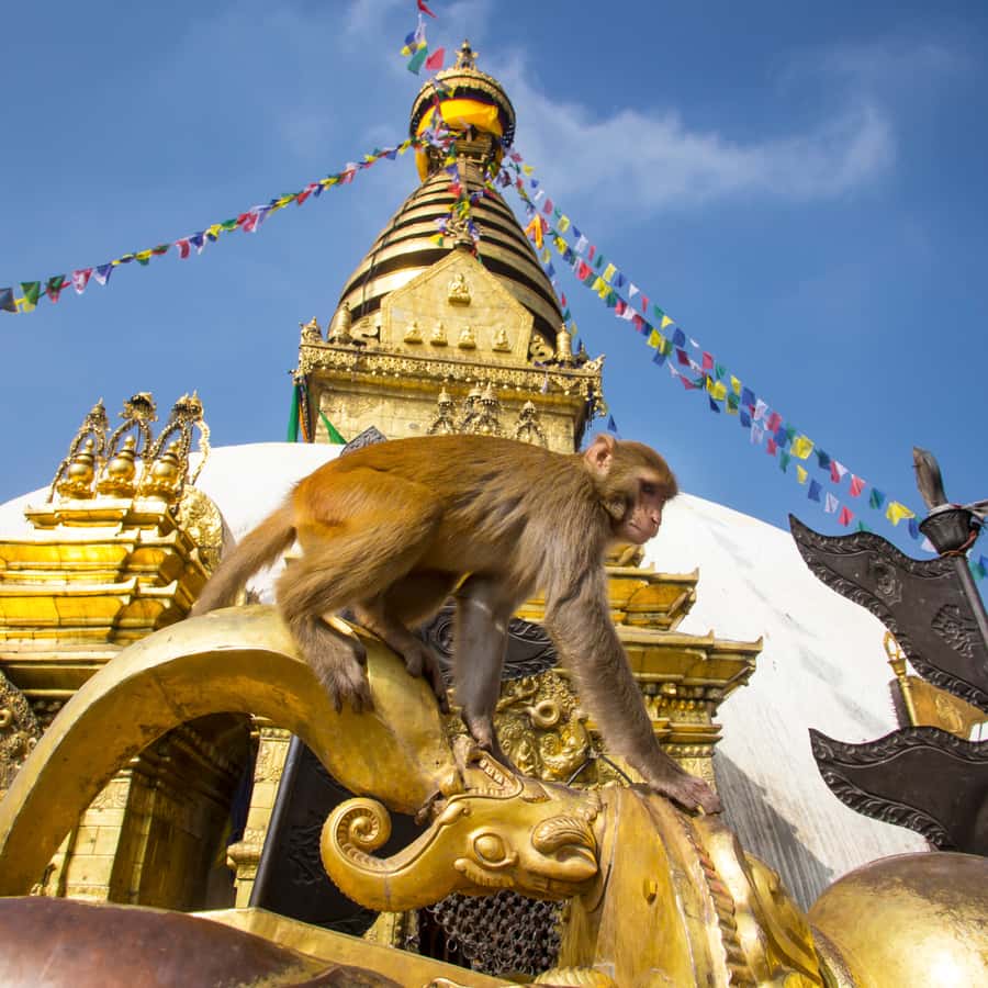 Kathmandu: 7 UNESCO Sites with Lunch - Bhaktapur Durbar Square and lunch: medieval courtyards that feel preserved