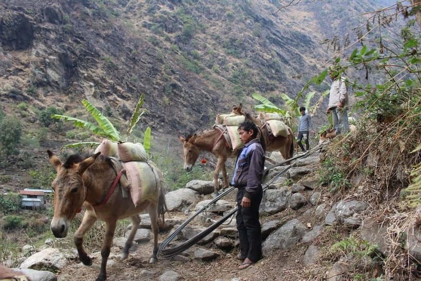 Kathmandu: 9-Day Annapurna Circuit Trek via Thorong La Pass - Muktinath Temple: the pilgrimage stop that changes the mood