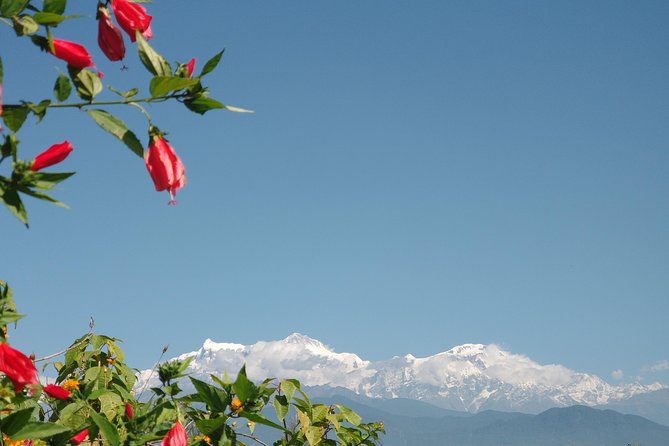 Kathmandu and Pokhara: A Journey Through Nepal's Cultural and Natural Wonders - Thamel, Day 1: a friendly start in Kathmandu’s temple-country mood