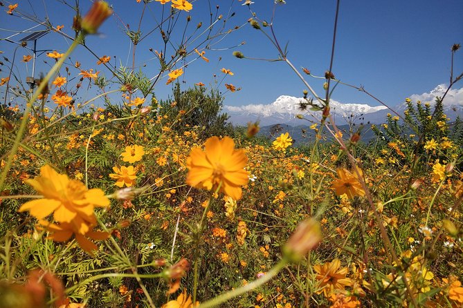Kathmandu and Pokhara: A Journey Through Nepal's Cultural and Natural Wonders - Returning to Kathmandu on Day 4: a calm arrival and Durbar Square at 4:00 pm