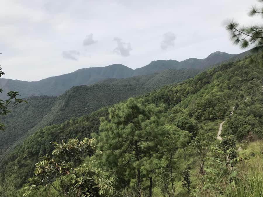 Kathmandu: Champadevi - Chandragiri Hike & Cable Car Descent - Chandragiri cable car descent: thrilling, quick, and height-sensitive