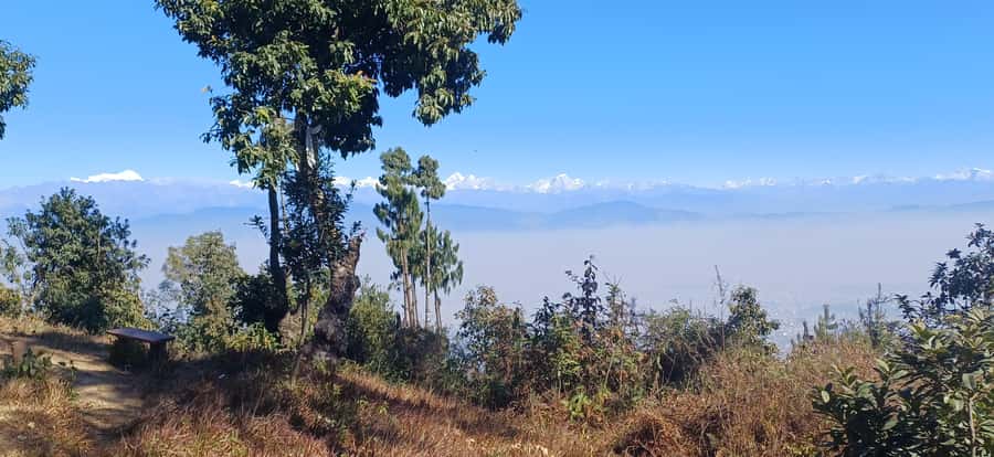 Kathmandu: Champadevi - Chandragiri Hike & Cable Car Descent - Pine and rhododendron trails to Champadevi Temple