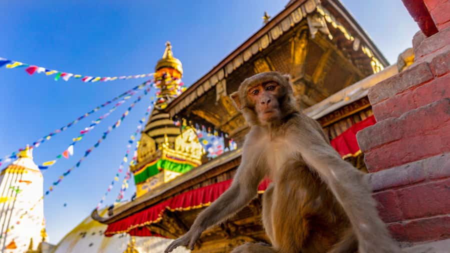 Kathmandu: Chandragiri Cable Car and Monkey Temple Tour - Key highlights that make this tour worth your time