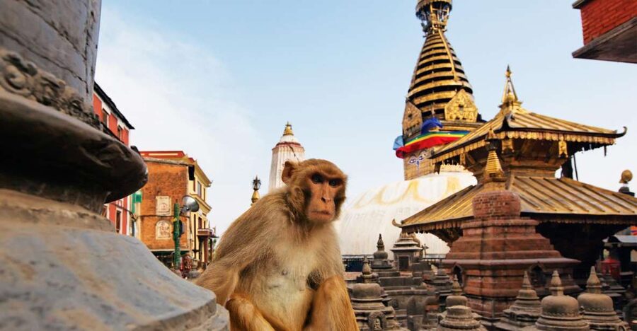 Kathmandu: Chandragiri cable car & Swayambhunath Tour - How this Chandragiri + Swayambhunath day fits your Kathmandu time