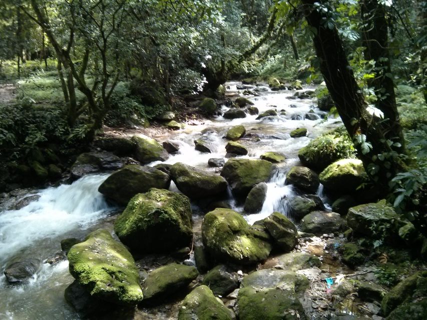 Kathmandu: Chisapani Nagarkot 3-Days 2-Nights Trek - Day 2: Chisapani to Nagarkot, Forest Descent, Village Crossings, and the Climb Back Up