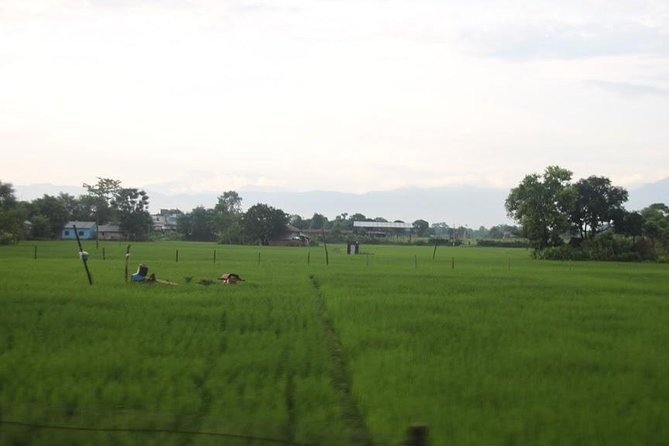 Kathmandu Chitwan Pokhara Tour - Thamel start: the easiest way to “get” Kathmandu fast