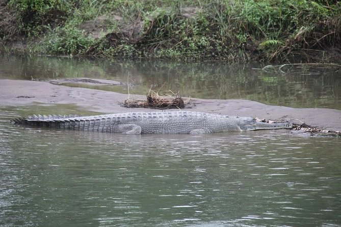 Kathmandu Chitwan Pokhara Tour - Pokhara’s Phewa Tal: lake time without the stress
