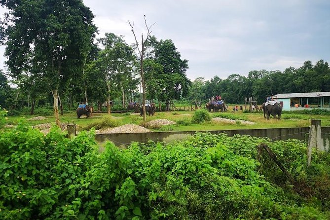 Kathmandu Chitwan Pokhara Tour - Sarangkot viewpoints: chasing Annapurna and Dhaulagiri energy