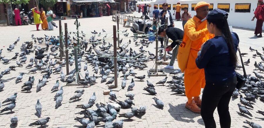 Kathmandu: Guided -Day Tour of World Heritage Sites - Should you book this Kathmandu Valley UNESCO day tour?