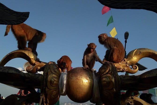 Kathmandu Heritage Tour (Full Day) - Price and logistics: what you are paying for at $38.66