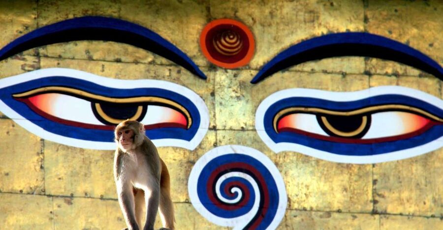 Kathmandu: Monkey Temple and Chandragiri Cable Car Ride Tour - Swayambhunath Monkey Temple, UNESCO stupa views, and prayer wheels