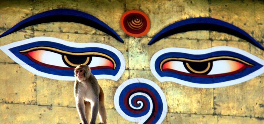 Kathmandu: Monkey Temple and Chandragiri Cable Car Ride Tour - Price and the real cost of this 1-day Kathmandu plan