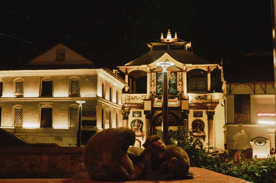 Kathmandu: Pashupatinath Aarati & Cremation Evening Tour - Watching the Aarti at night: what you will feel and how to behave