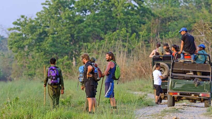 Kathmandu/Pokhara: 3 Day Chitwan Jungle Safari Tour - Your guide and the lodge: how comfort and expertise show up in real life