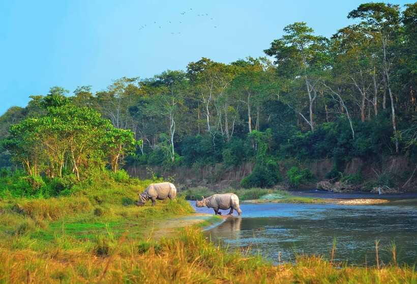Kathmandu/Pokhara: 3 Day Chitwan Jungle Safari Tour - Who this trip fits, and who should reconsider
