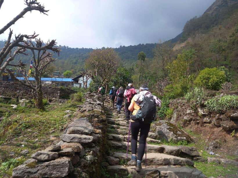 Kathmandu/Pokhara: 5-Day Annapurna Base Camp (ABC) Trek - Gear and seasonal temps that actually matter