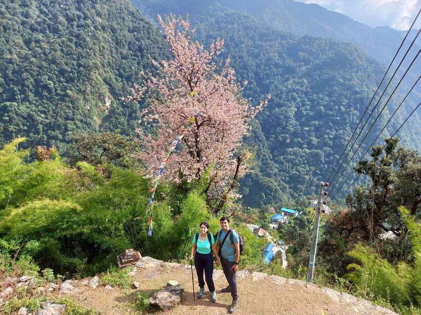 Kathmandu/Pokhara: 5-Day Annapurna Base Camp (ABC) Trek - Permits, water safety, and the passport paperwork you must send