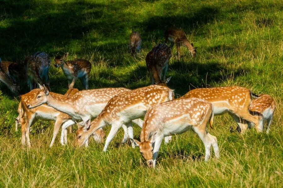 Kathmandu/Pokhara: Wildlife, Culture and Jungle Safari Tour - Getting from Kathmandu or Pokhara to Chitwan: the road reality