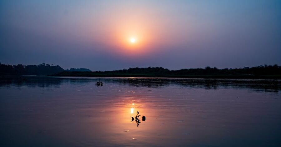 Kathmandu/Pokhara: Wildlife, Culture and Jungle Safari Tour - Day 3: return drive and how to end the trip smoothly