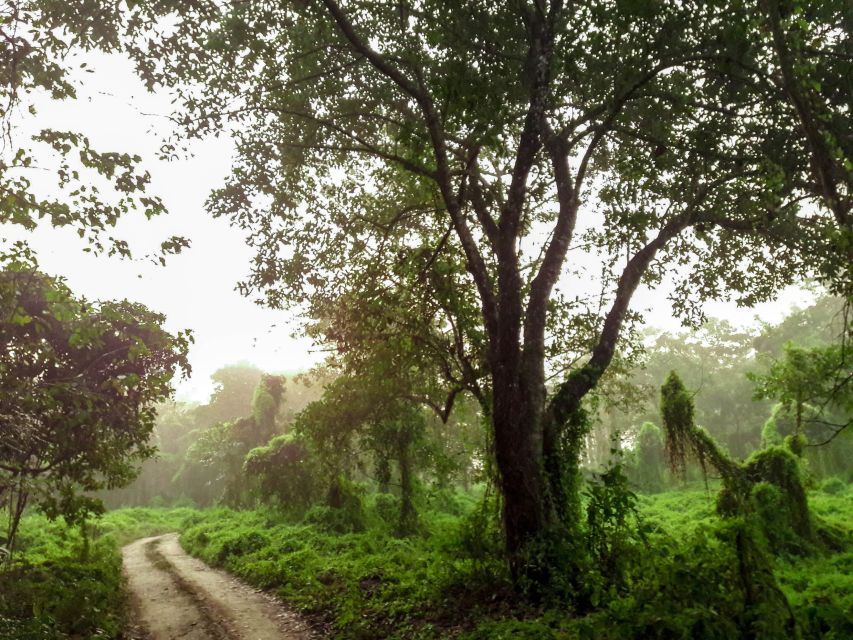 Kathmandu/Pokhara: Wildlife, Culture and Jungle Safari Tour - Price and value: about $120, what you get for it